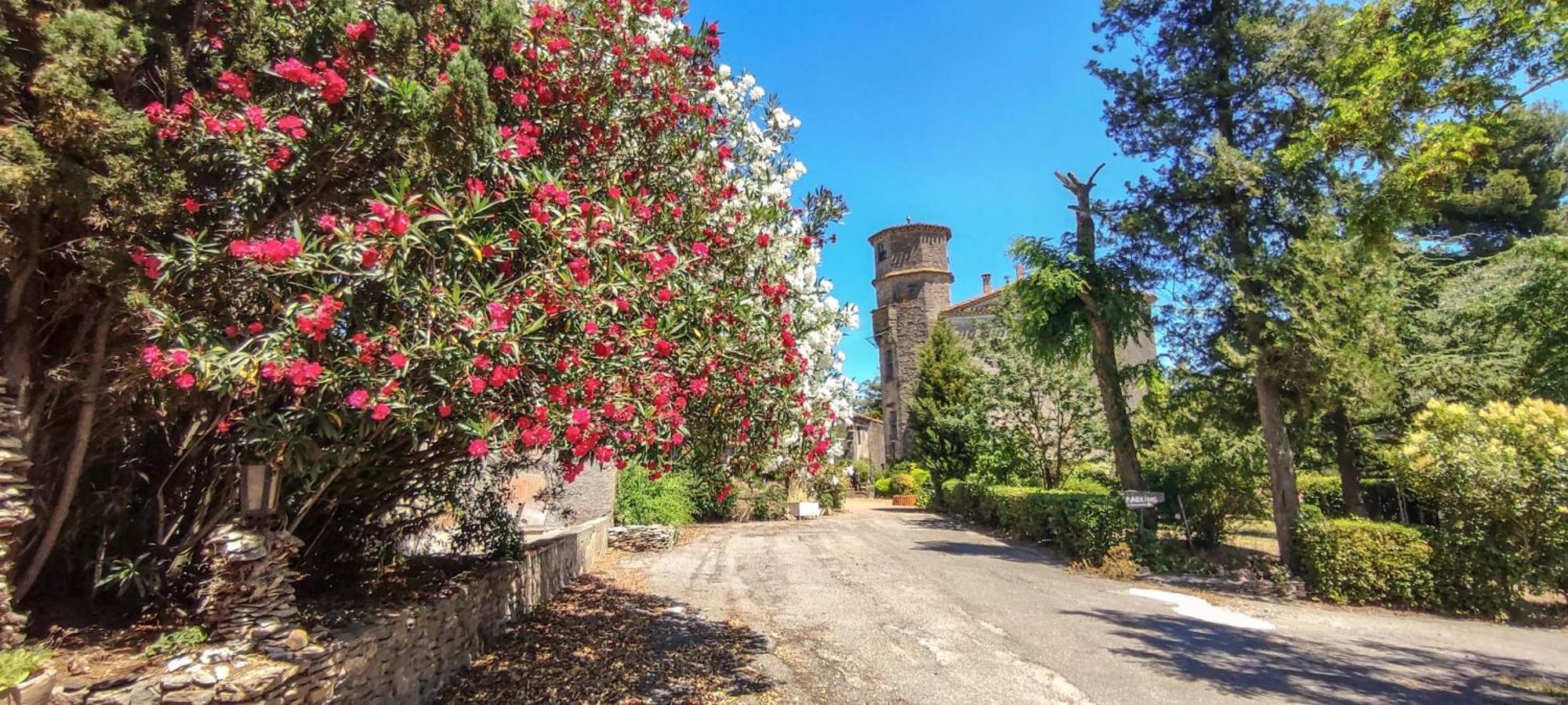 Chateau Saint-Martin Carcassonne Dış mekan fotoğraf